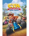 Maxi poster GB eye Games: Crash Team Racing - Cover Art - 1t