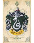 Maxi poster GB eye Movies: Harry Potter - Slytherin - 1t