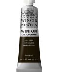 Uljana boja Winsor & Newton Winton - Crna, 37 ml - 1t