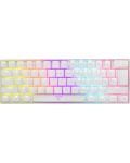 Mehanička tipkovnica White Shark - SHINOBI, Blue Switches, LED, bijela - 1t