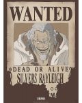 Mini poster GB eye Animation: One Piece - Rayleigh Wanted Poster - 1t