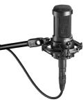 Mikrofon Audio-Technica - AT2050, crni - 3t