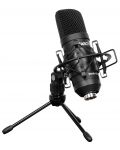 Mikrofon Cascha - HH 5050 Studio XLR, crni - 1t