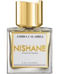 Nishane Miniature Art Ekstrakt parfema Ambra Calabria, 50 ml - 1t