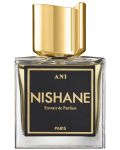 Nishane No Boundaries Ekstrakt parfema Ani, 50 ml - 1t