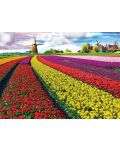 Slagalica Eurographics od 1000 dijelova - Polje s tulipanima - 2t