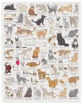Slagalica Galison od 1000 dijelova - Slatke mačke - 2t