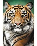 Slagalica Trefl od 1500 dijelova - Portret tigra - 2t
