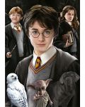 Slagalica Educa od 1000 mini dijelova - Harry Potter, minijatura - 2t