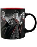 Poklon set ABYstyle Movies: Harry Potter - Harry, Ron and Hermione - 2t