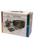 Poklon set ABYstyle Movies: Harry Potter - Stand Together - 5t