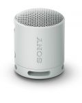 Prijenosni zvučnik Sony - SRS-XB100, sivi - 1t