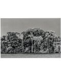 Sebastiao Salgado. Amazonia: Postcard Set - 4t