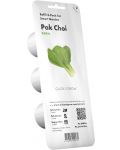 Sjeme Click and Grow - Bok Pak Choi, 3 punjenja - 1t