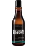 Redken Brews Šampon za kosu Mint, 300 ml - 1t