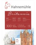 Blok Hahnemuhle - Britania Matt, 17 x 24, 12 listova - 1t