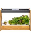 Pametna saksija Click and Grow - Smart Garden 25, crna - 1t