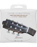 Žice za klasičnu gitaru Ibanez - ICLS6NT, 28-41, transparentne - 2t