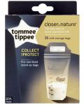 Set vrećica za majčino mlijeko Tommee Tippee - Closer to Nature, 350 ml, 36 komada - 1t