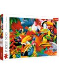 Puzzle Trefl od 500 dijelova - Šarene ptice, Graeme Stevenson - 1t