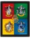 3D poster s okvirom Pyramid Movies: Harry Potter - House Crests - 1t
