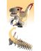 3D figura za montažu Еugy - Velociraptor - 5t