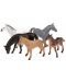 Set figurica Toi Toys Animal World - Deluxe, Divlji konji, 5 komada - 1t