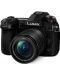 Kamera bez ogledala Panasonic - Lumix G9, G Vario 12-60mm, Black - 1t