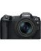 Kamera bez ogledala Canon - EOS R8, RF 24-50mm, f/4.5-6.3 IS STM - 1t