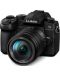 Kamera bez ogledala Panasonic - Lumix DC-G90, 14-140mm, Black - 1t