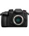 Kamera bez ogledala Panasonic - Lumix GH5 II, Leica 12-60mm - 2t
