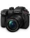 Kamera bez ogledala Panasonic - Lumix G GH5 II, 12-60mm, Black - 1t