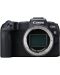 Kamera bez ogledala Canon - EOS RP, RF 24-105mm, f/F4-7.1 IS, crna + Objektiv Canon - RF 35mm f/1.8 IS Macro STM - 4t