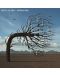 Biffy Clyro - Opposites (CD) - 1t