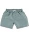 Dječje kupaće hlače s UV zaštitom 50+ Sterntaler - 110/116 cm, 4-6 godina, zelena - 1t