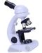 Dječji set Raya Toys - Mikroskop - 2t