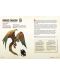 Dodatak za društvenu igru Dungeons & Dragons: Young Adventurer's Guides - Beasts & Behemoths - 4t