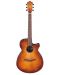 Elektroakustična gitara Ibanez - AEG70, Vintage Violin High Gloss - 2t