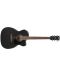 Elektroakustična gitara Ibanez - PC14MHCE, Weathered Black - 6t