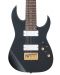 Električna gitara Ibanez - RG80F, Iron Pewter - 2t