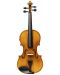 Elektroakustična violina Stagg - VN-4/4 ELEC, smeđa - 1t