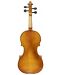 Elektroakustična violina Stagg - VN-4/4 ELEC, smeđa - 3t