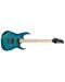 Električna gitara Ibanez - RG421AHM, Blue Moon Burst - 4t