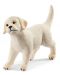 Set figurica Schleich Farm Life Dogs - Košara za pse - 4t