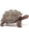 Figurica Schleich Wild Life - Divovska kornjača - 4t