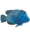 Figurica Mojo Sealife - Epinephelus lanceolatus - 2t