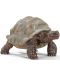 Figurica Schleich Wild Life - Divovska kornjača - 1t
