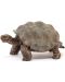 Figurica Schleich Wild Life - Divovska kornjača - 3t