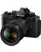 Fotoaparat Nikon - ZF, Nikon Z Nikkor, 24-70mm, f/4 S, Black + grip SmallRig - 1t