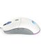 Gaming miš Endorfy - GEM Plus, optički, Onyx White - 2t